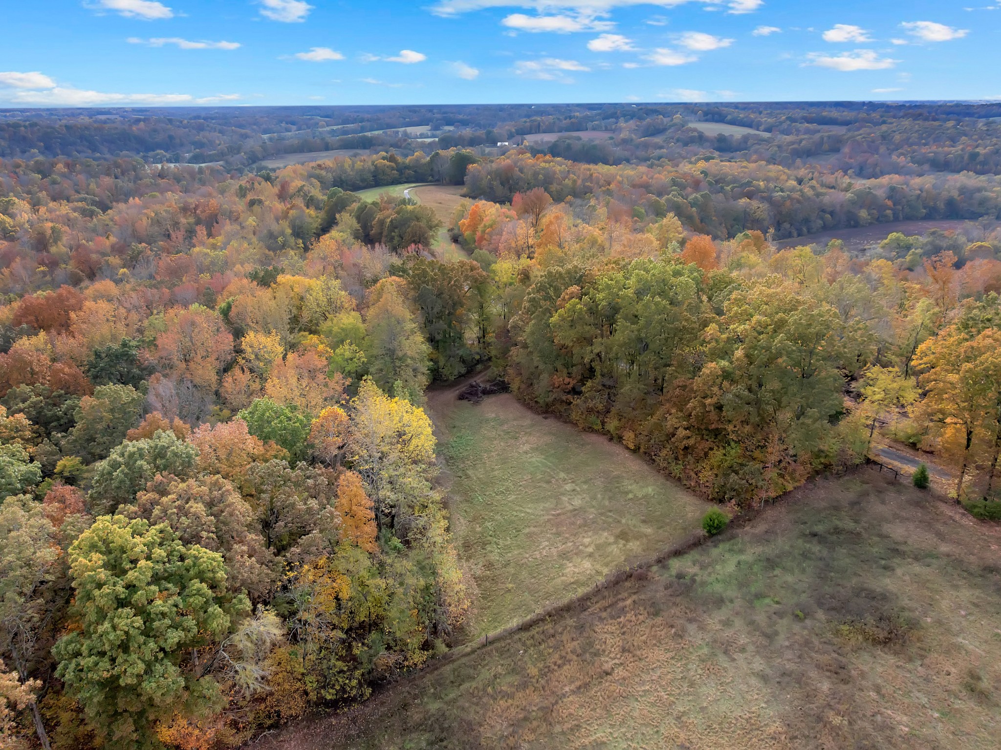 0 Batson Mill Road Charlotte, TN 37036 - Photo 9 of 22