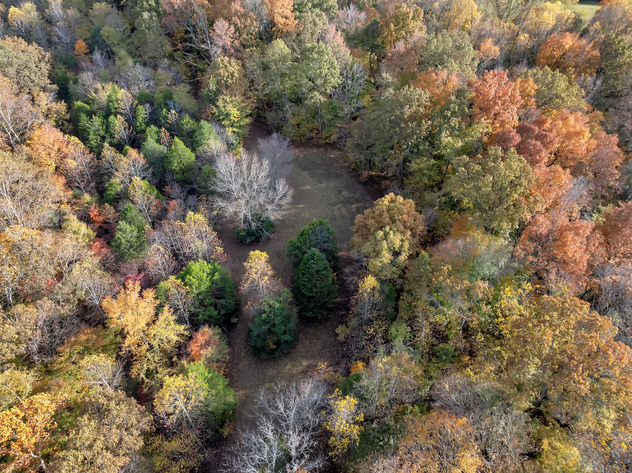 0 Batson Mill Road Charlotte, TN 37036 - Photo 10 of 22