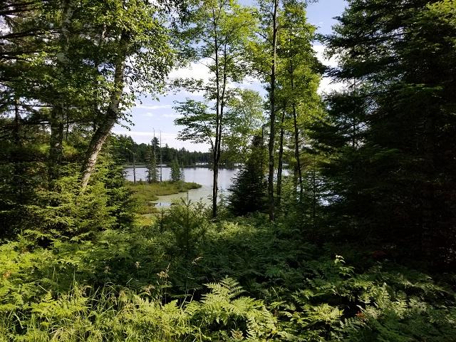 6859 Cramer Lake Road Mercer, WI 54547 - Photo 33 of 33 Gallery Image 33