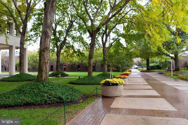 220 Locust Street, Unit 26AS Philadelphia, PA 19106 - Photo 2 of 9 a view of a garden with large trees