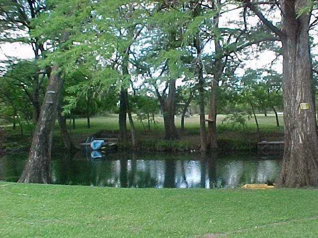 203 Cave Spring Drive West Ingram, TX 78025 - Photo 4 of 42