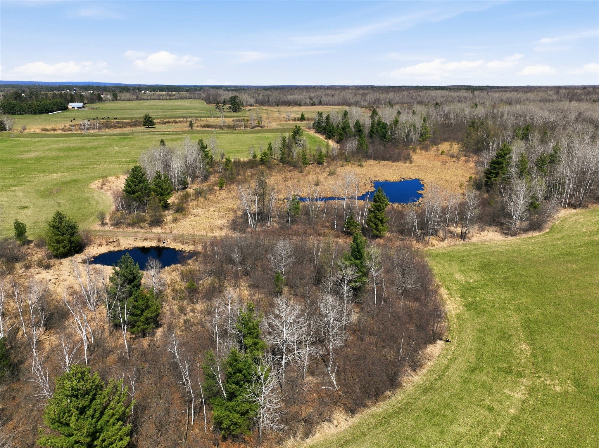 N4280 County Road East Bruce, WI 54819 - Photo 7 of 49