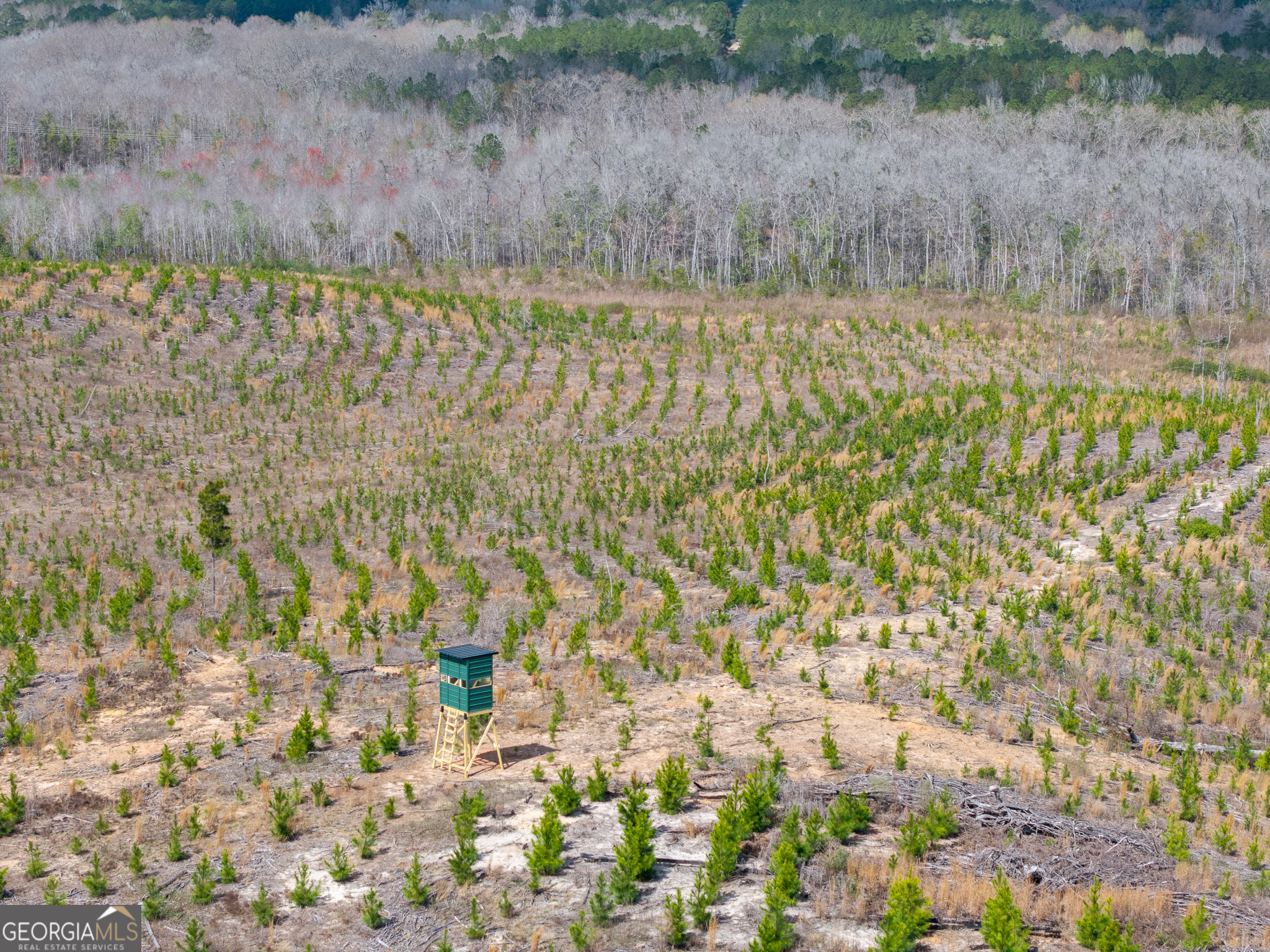 3 Laurel Branch Road McIntyre, GA 31031 - Photo 3 of 41