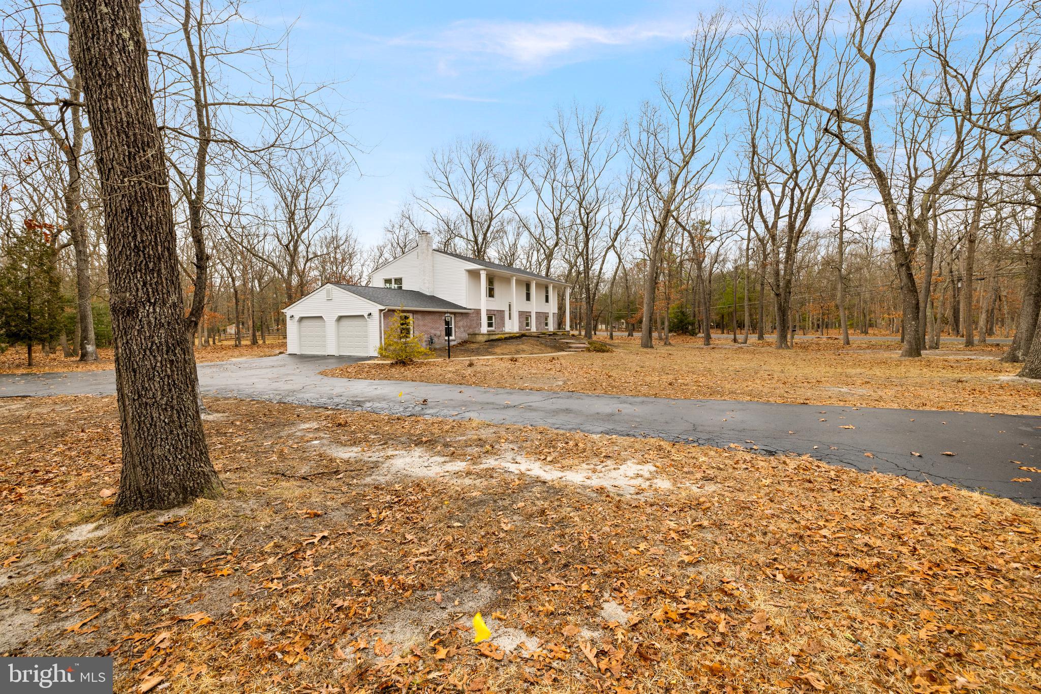 a view of dirt yard with a large tree