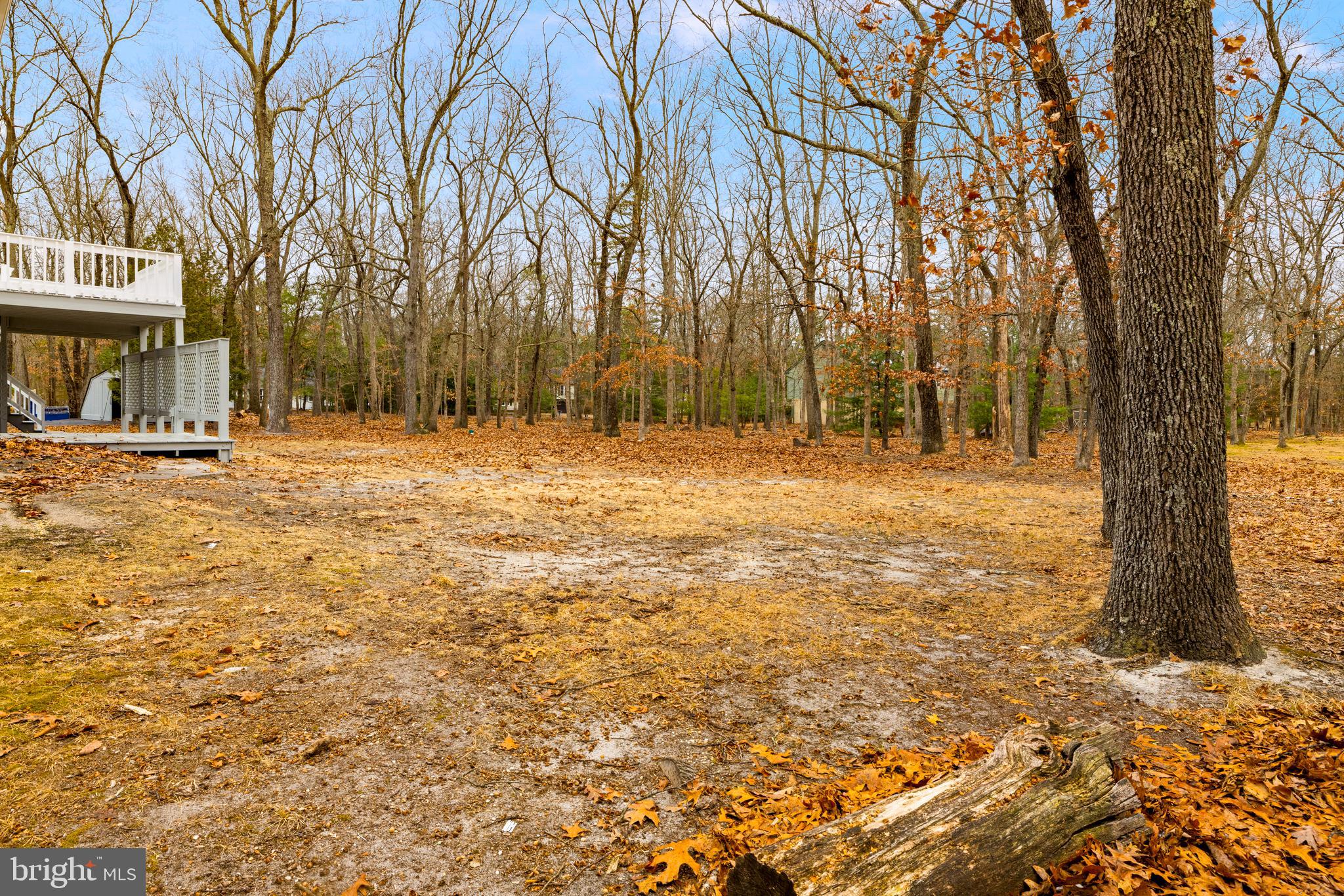 147 Sooy Place Road Tabernacle, NJ 08088 - Photo 27 of 27 a backyard of a house with lots of green space