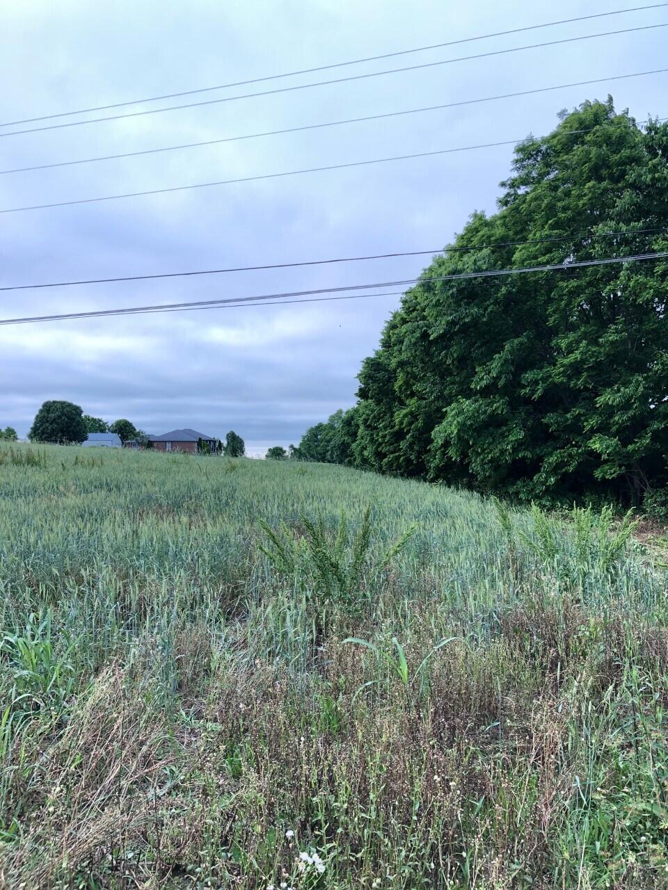 B Locust Lane Lancaster, KY 40444 - Photo 2 of 3 thumbnail_image1