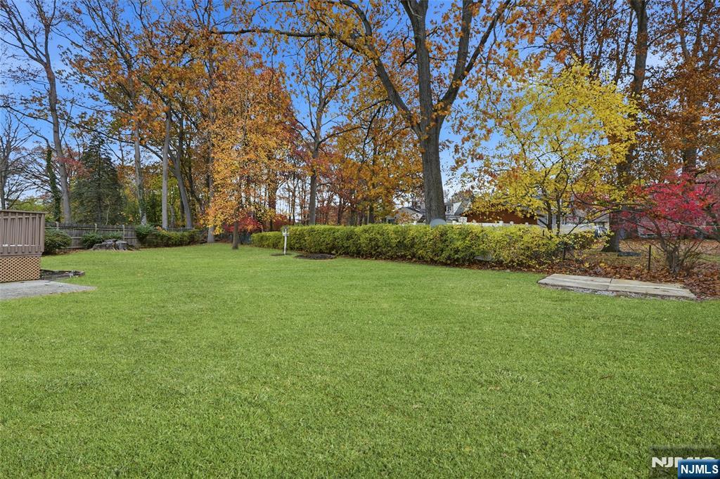 20 Dojean Court Bergenfield, NJ 07621 - Photo 28 of 30 a view of a park with large trees