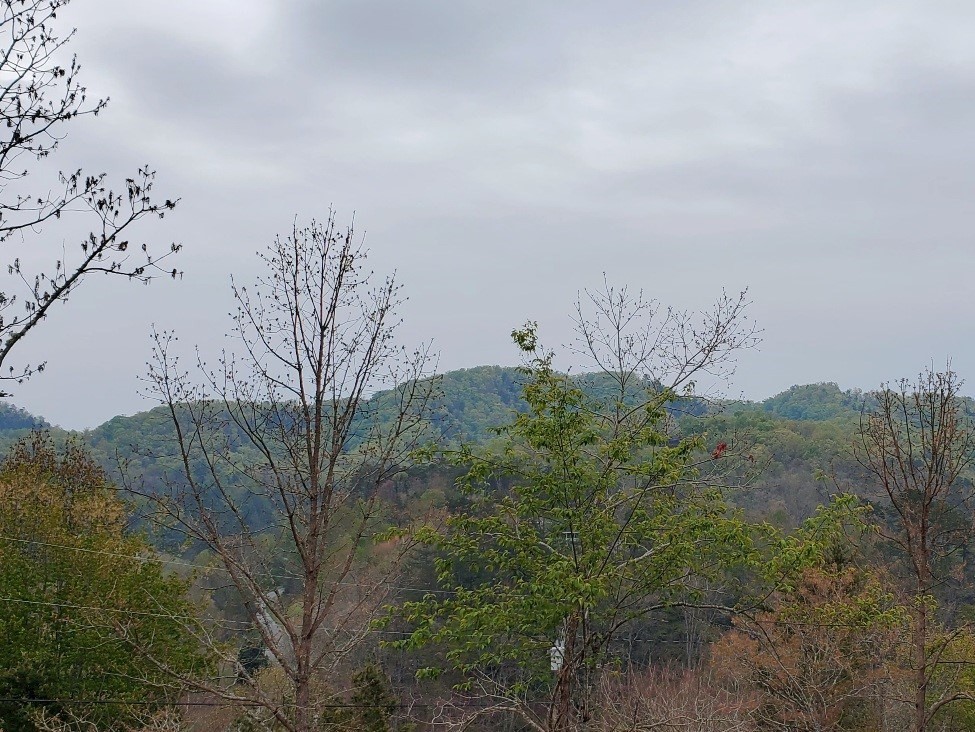 6061 Red Cedar Lane Sevierville, TN 37876 - Photo 4 of 9