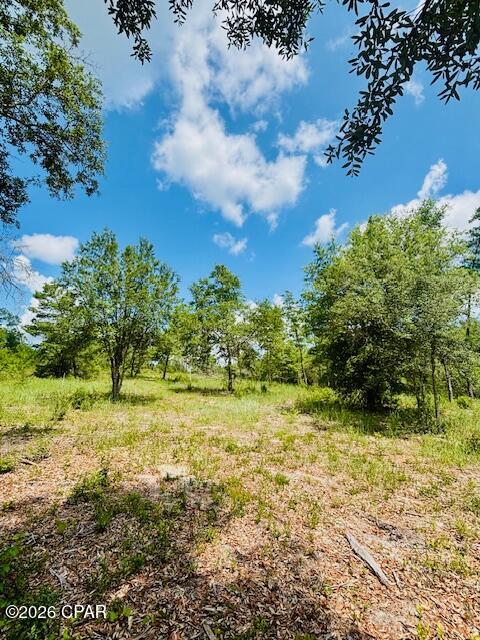 0 Lake Ridge Drive Chipley, FL 32428 - Photo 9 of 21