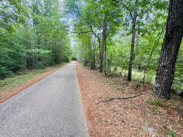 $183,554 | Tbd Carters Creek Road, Tylertown, MS 39667