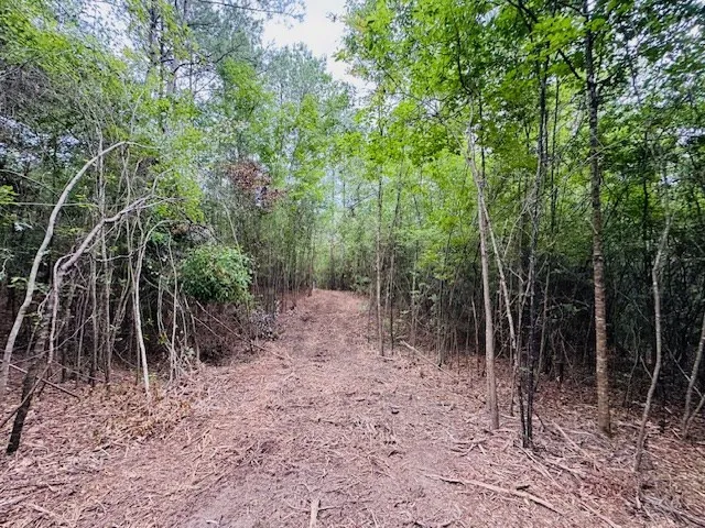 $183,554 | Tbd Carters Creek Road, Tylertown, MS 39667