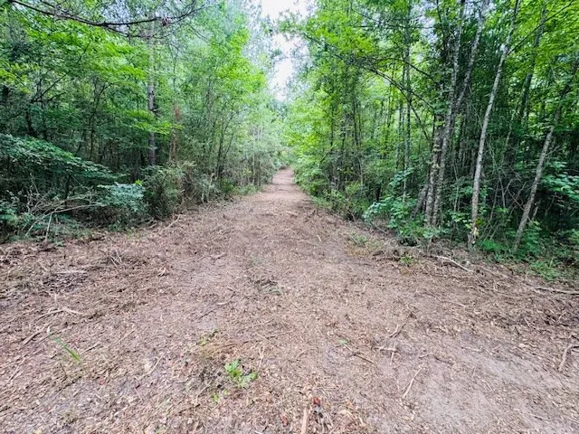$183,554 | Tbd Carters Creek Road, Tylertown, MS 39667