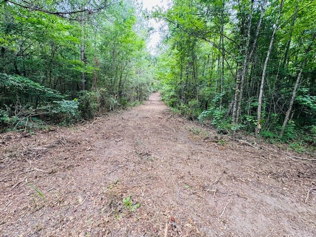 Tbd Carters Creek Road Tylertown, MS 39667 - Photo 13 of 33 Photo 13
