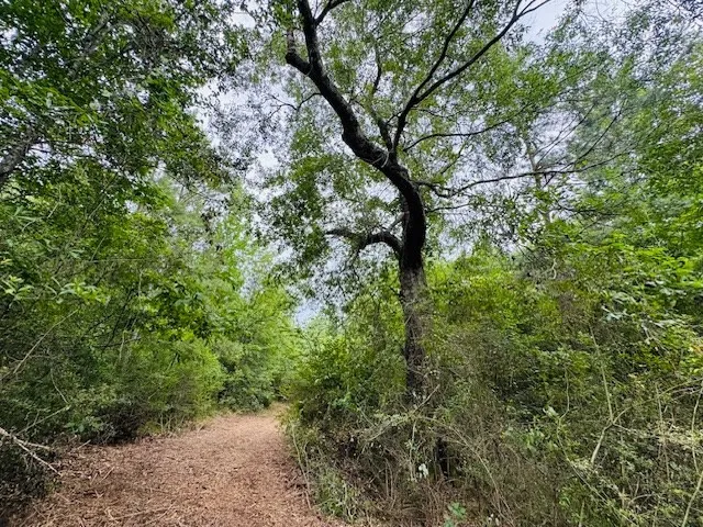 $183,554 | Tbd Carters Creek Road, Tylertown, MS 39667