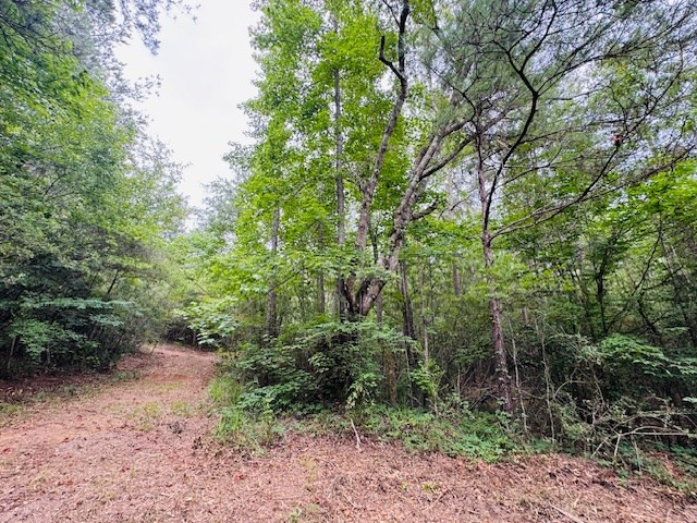 Tbd Carters Creek Road Tylertown, MS 39667 - Photo 16 of 33 Photo 16