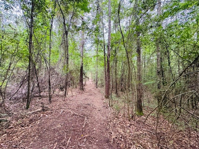Tbd Carters Creek Road Tylertown, MS 39667 - Photo 17 of 33 Photo 17