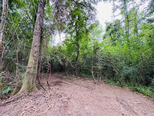 Tbd Carters Creek Road Tylertown, MS 39667 - Photo 18 of 33 Photo 18