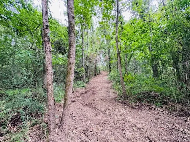 $183,554 | Tbd Carters Creek Road, Tylertown, MS 39667