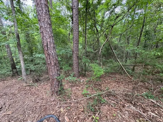 $183,554 | Tbd Carters Creek Road, Tylertown, MS 39667