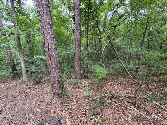 Tbd Carters Creek Road Tylertown, MS 39667 - Photo 20 of 33 Photo 20
