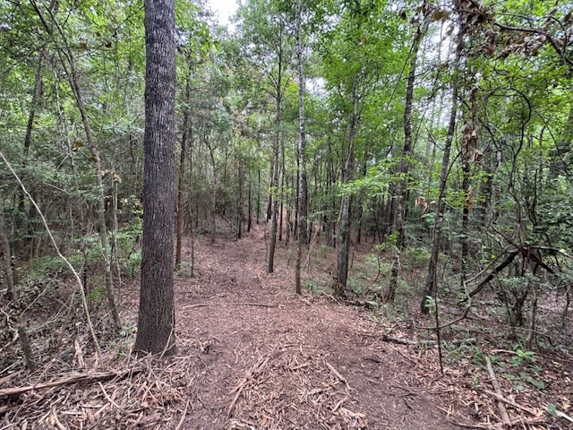 Tbd Carters Creek Road Tylertown, MS 39667 - Photo 21 of 33 Photo 21
