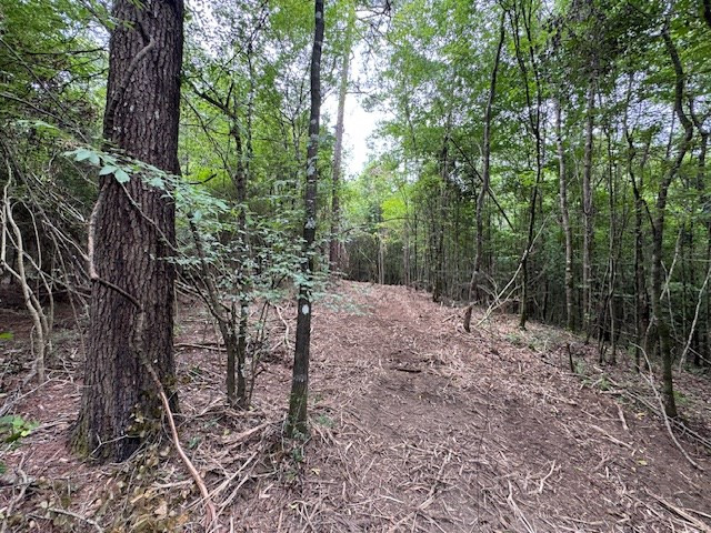 Tbd Carters Creek Road Tylertown, MS 39667 - Photo 22 of 33 Photo 22