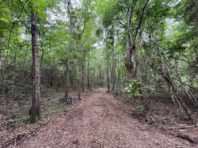 Tbd Carters Creek Road Tylertown, MS 39667 - Photo 23 of 33 Photo 23