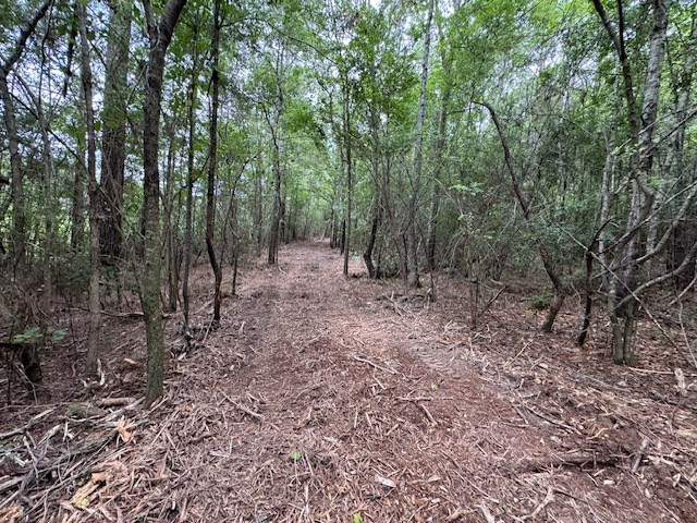 Tbd Carters Creek Road Tylertown, MS 39667 - Photo 24 of 33 Photo 24