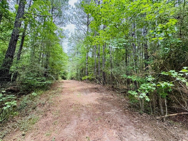 Tbd Carters Creek Road Tylertown, MS 39667 - Photo 25 of 33 Photo 25