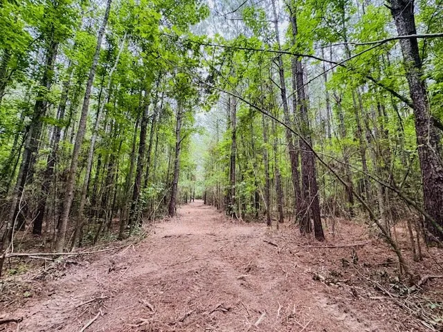 $183,554 | Tbd Carters Creek Road, Tylertown, MS 39667