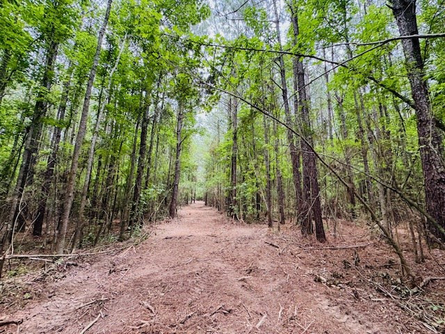Tbd Carters Creek Road Tylertown, MS 39667 - Photo 27 of 33 Photo 27
