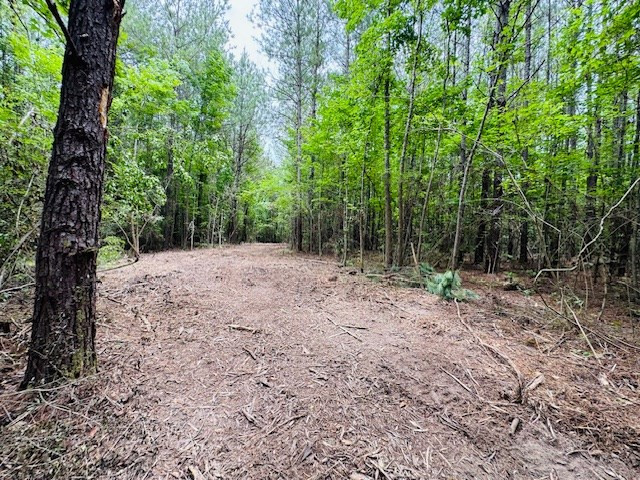 Tbd Carters Creek Road Tylertown, MS 39667 - Photo 28 of 33 Photo 28