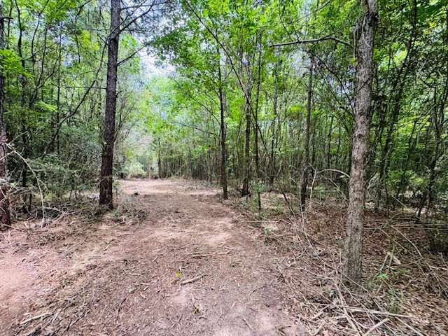 Tbd Carters Creek Road Tylertown, MS 39667 - Photo 29 of 33 Photo 29
