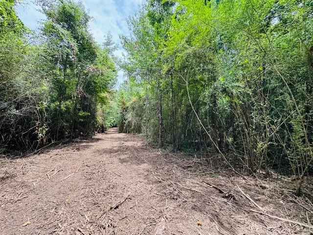 $183,554 | Tbd Carters Creek Road, Tylertown, MS 39667