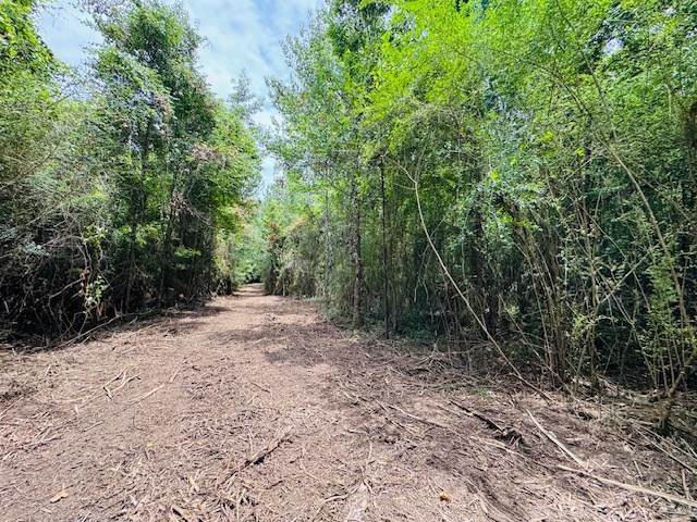 Tbd Carters Creek Road Tylertown, MS 39667 - Photo 30 of 33 Photo 30