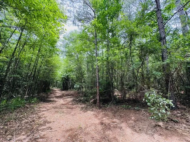 $183,554 | Tbd Carters Creek Road, Tylertown, MS 39667
