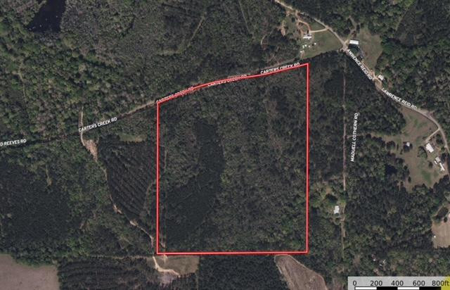 Tbd Carters Creek Road Tylertown, MS 39667 - Photo 33 of 33 Photo 33