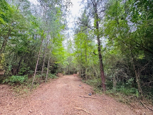 Tbd Carters Creek Road Tylertown, MS 39667 - Photo 4 of 33 Photo 4