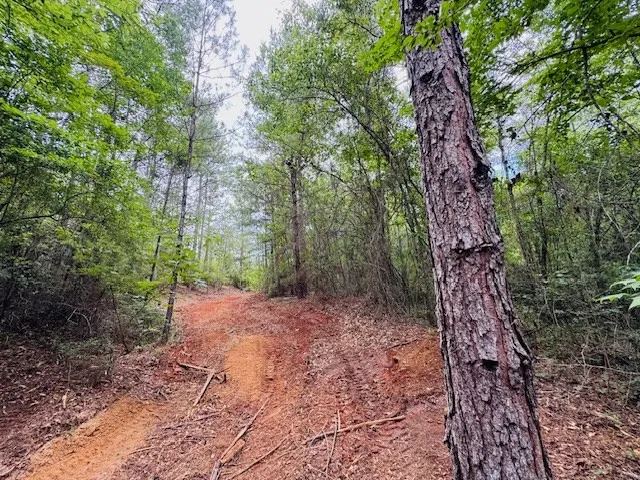 $183,554 | Tbd Carters Creek Road, Tylertown, MS 39667