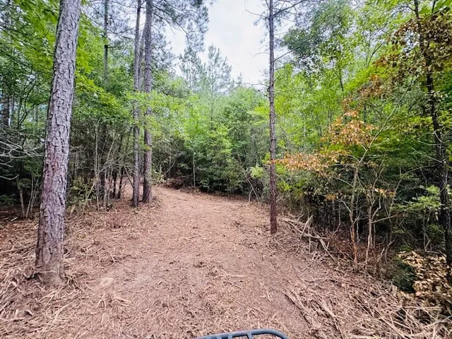 $183,554 | Tbd Carters Creek Road, Tylertown, MS 39667