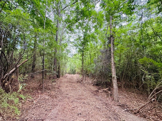 Tbd Carters Creek Road Tylertown, MS 39667 - Photo 8 of 33 Photo 8