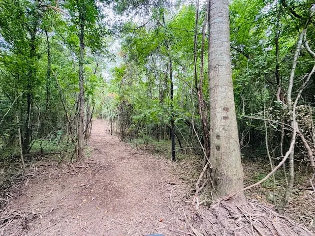 $183,554 | Tbd Carters Creek Road, Tylertown, MS 39667