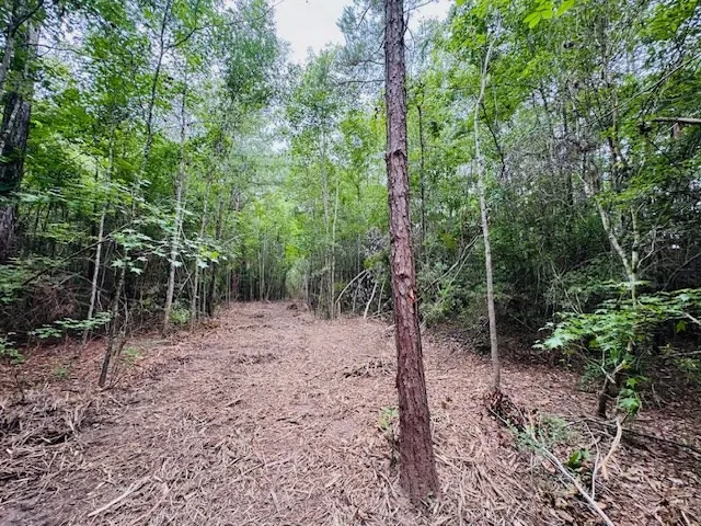$183,554 | Tbd Carters Creek Road, Tylertown, MS 39667