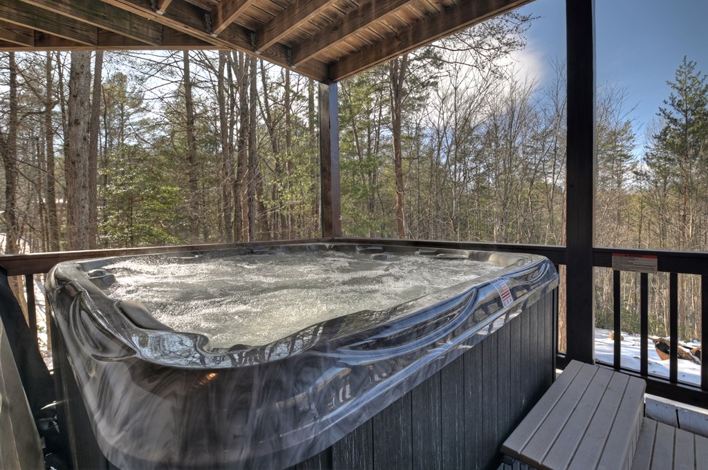176 White Tail Ridge Blue Ridge, GA 30513 - Photo 8 of 51 Gallery Image 8