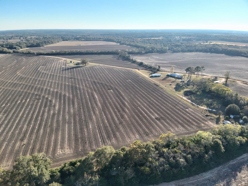7.57-acres Burdeshaw Road Headland, AL 36345 - Photo 9 of 11