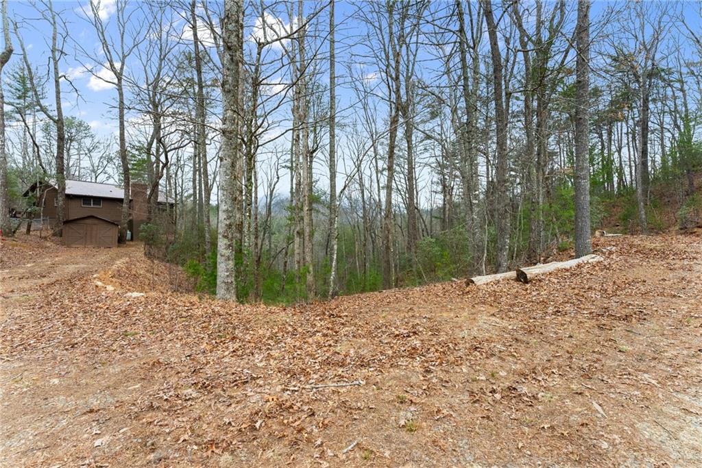 279 Cindy Cove Road Blairsville, GA 30512 - Photo 45 of 46 a backyard of a house with lots of green space