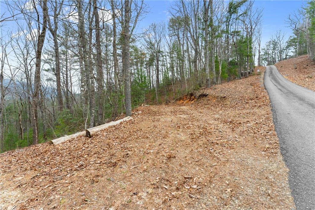 279 Cindy Cove Road Blairsville, GA 30512 - Photo 46 of 46 a view of a backyard of the house