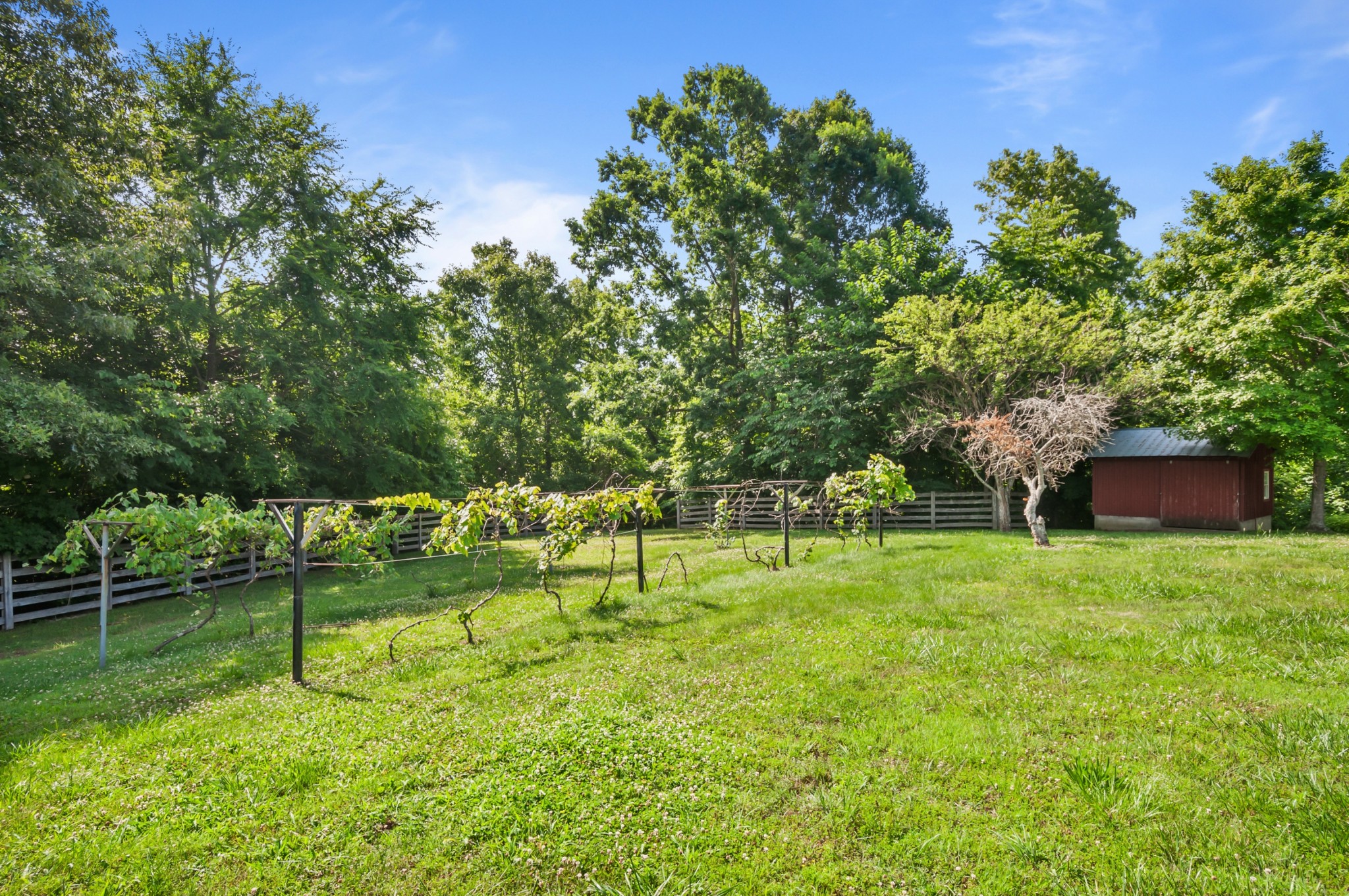 7480 South Harpeth Road Franklin, TN 37064 - Photo 16 of 51 a garden view