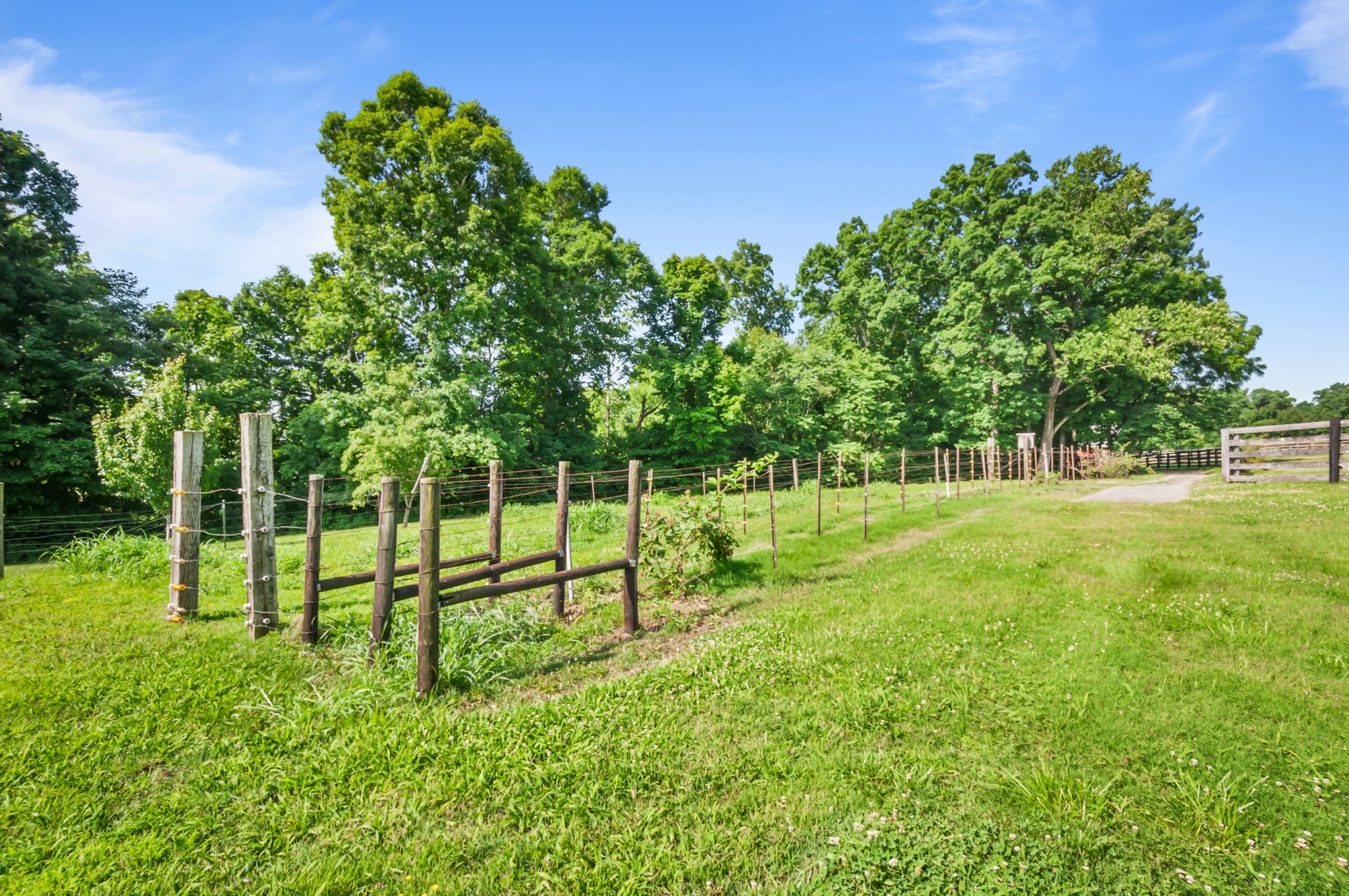 7480 South Harpeth Road Franklin, TN 37064 - Photo 17 of 51 a view of a park with a tree