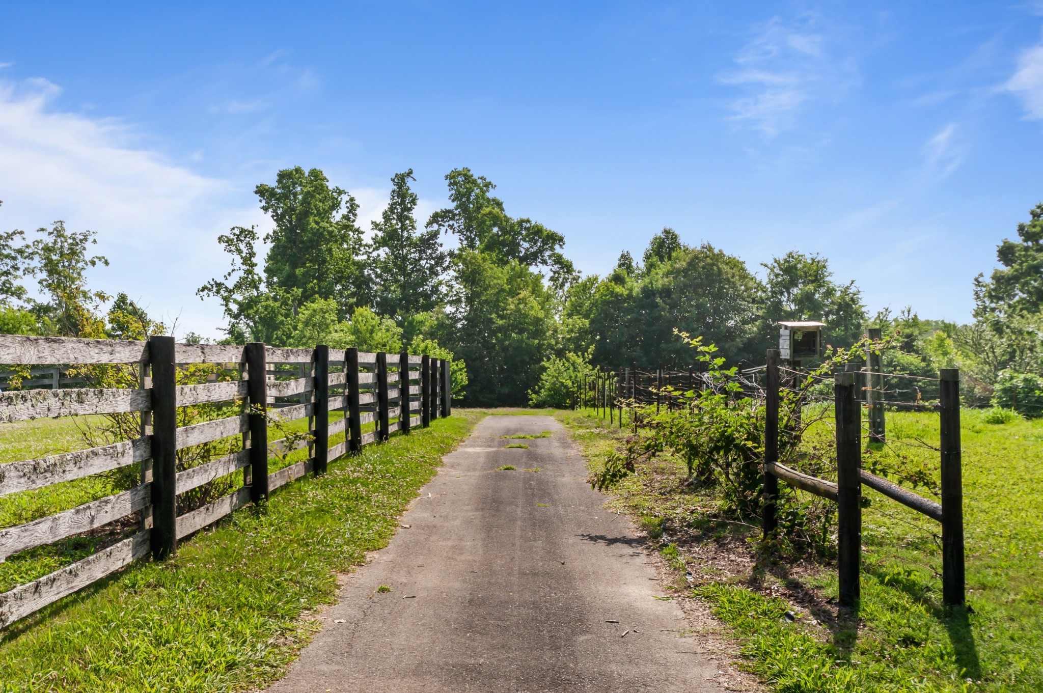 7480 South Harpeth Road Franklin, TN 37064 - Photo 19 of 51 a view of a pathway with a yard
